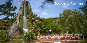 Zoo de la Palmyre